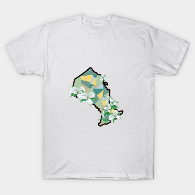 Ontario T-Shirt by KaiVerroDesigns